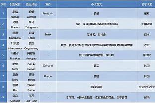 半岛官网多特蒙德赞助商截图3